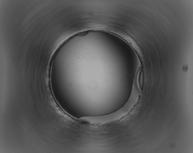 X0000091230904200708231652