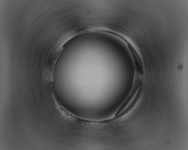 X0000091230905200708231652
