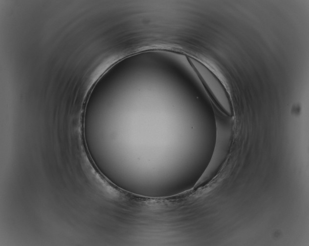 X0000091230906200708231652