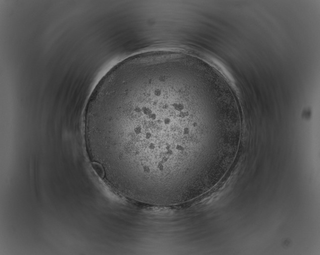 X0000091230907200708231652