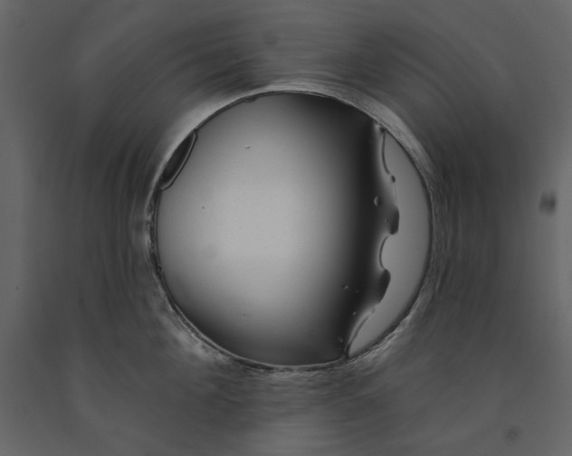 X0000091230908200708231652
