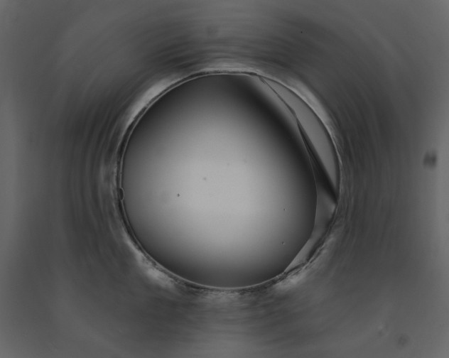 X0000091230909200708231652