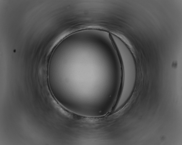 X0000091230910200708231652