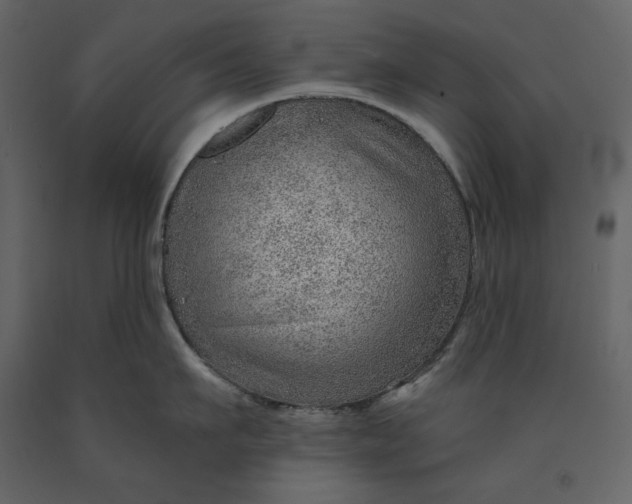 X0000091230911200708231651