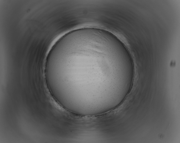 X0000091230912200708231651