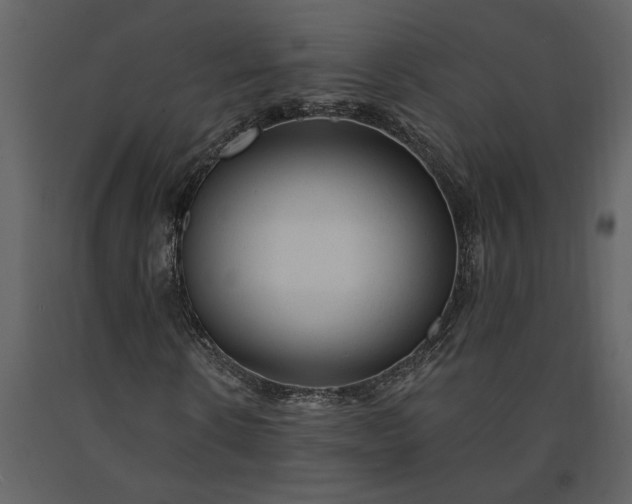 X0000091230914200708231651