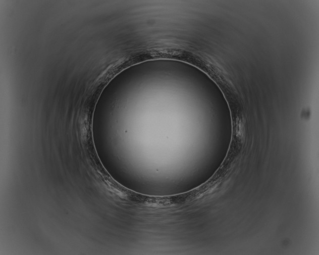 X0000091230915200708231651