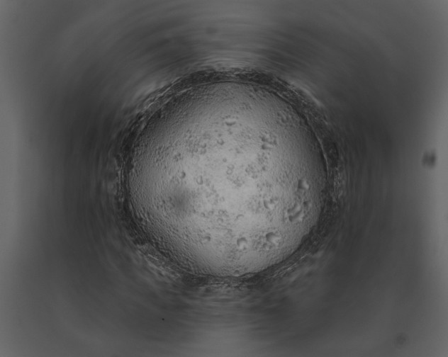 X0000091230917200708231651