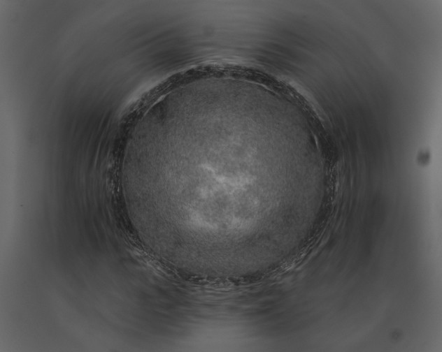 X0000091230919200708231651