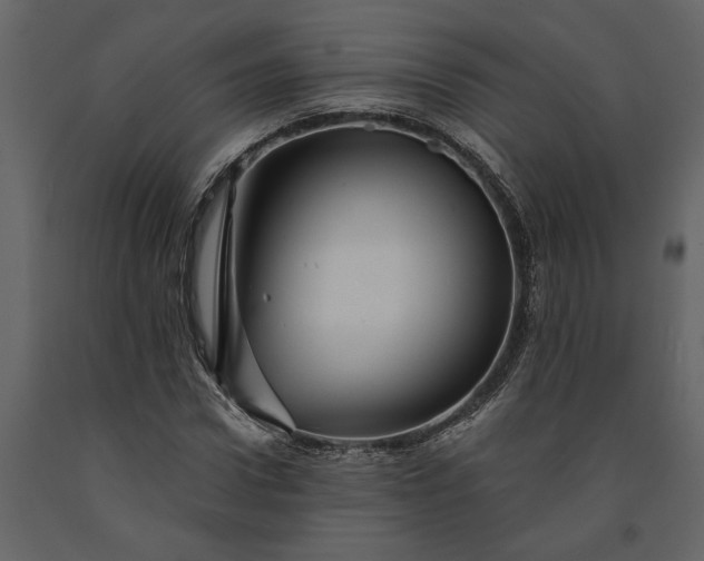 X0000091230922200708231651