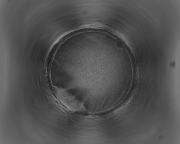 X0000091230923200708231651