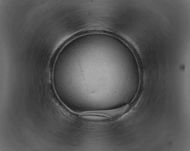 X0000091230925200708231651