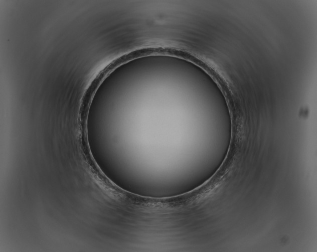 X0000091230927200708231651
