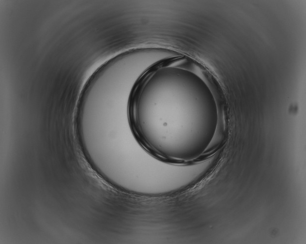 X0000091230928200708231651