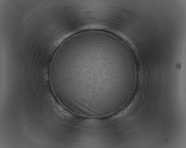 X0000091230929200708231651
