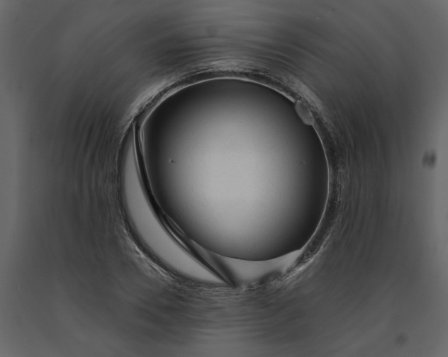 X0000091230930200708231651
