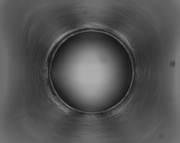 X0000091230931200708231651