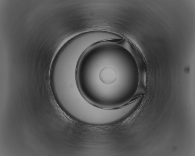 X0000091230932200708231651