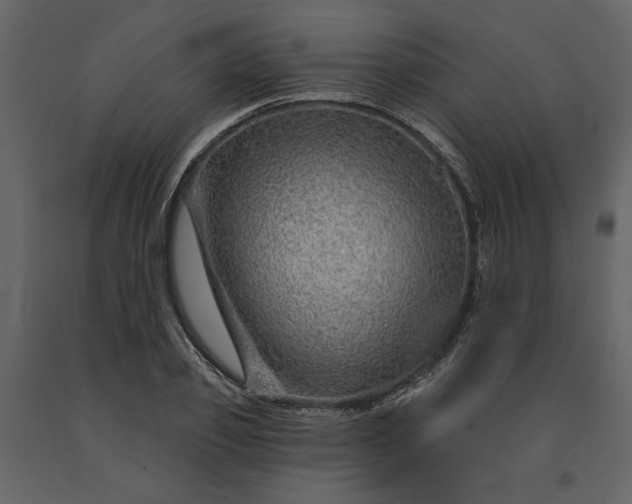 X0000091230933200708231651