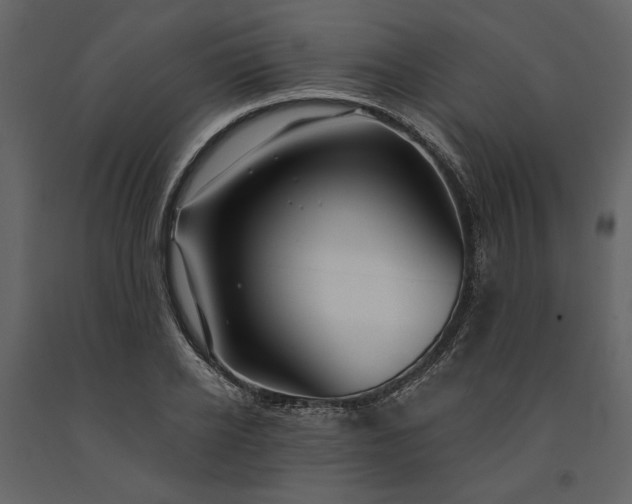 X0000091230934200708231651