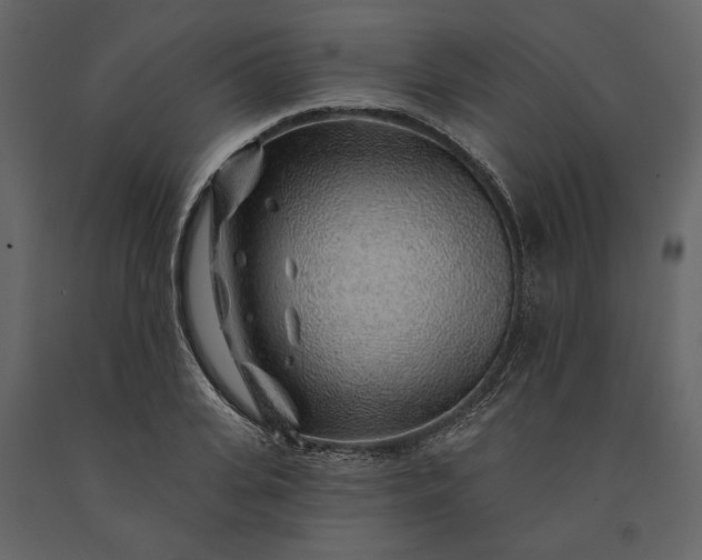 X0000091230935200708231651