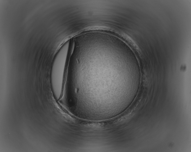 X0000091230937200708231651