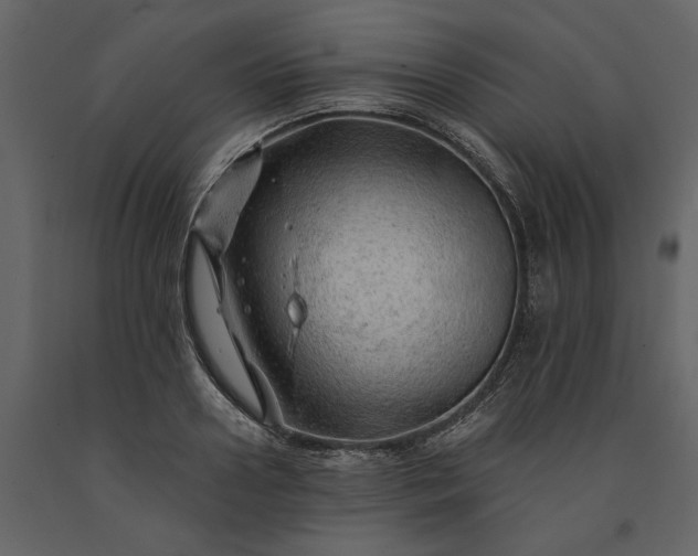 X0000091230938200708231651