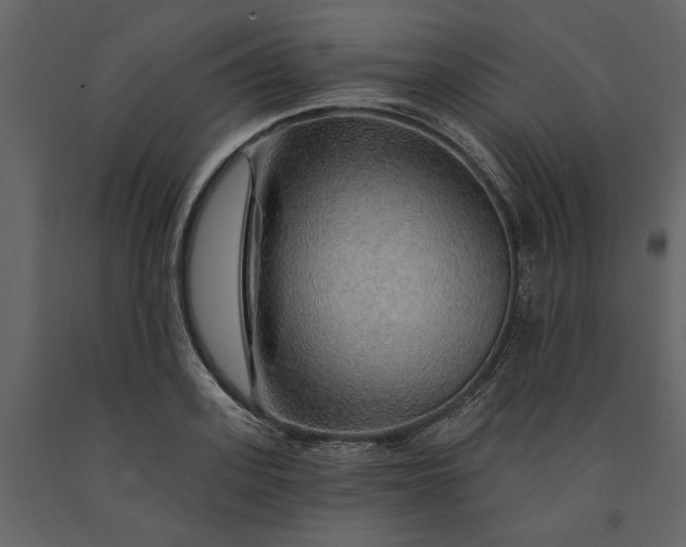 X0000091230939200708231651