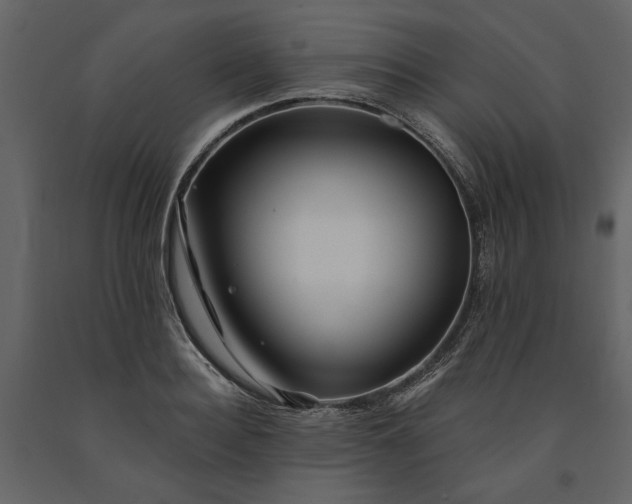 X0000091230940200708231651