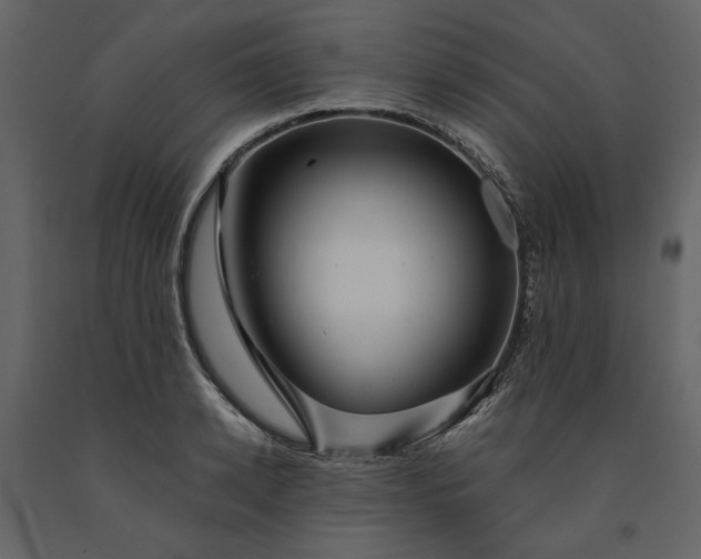 X0000091230942200708231651