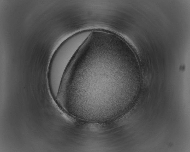 X0000091230943200708231651