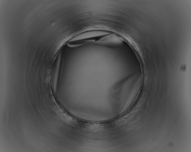 X0000091230945200708231651
