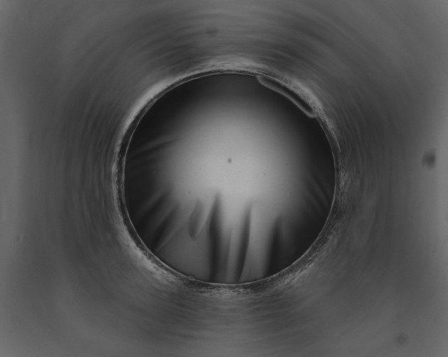 X0000091230947200708231651