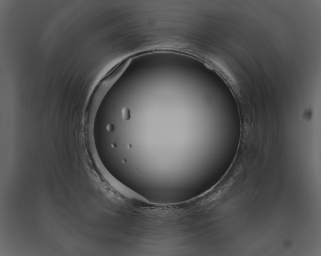 X0000091230948200708231651