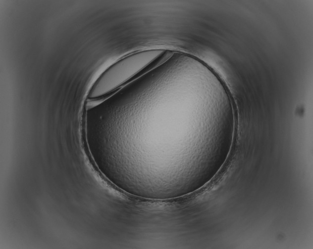 X0000091230949200708231651