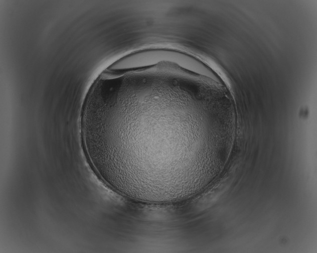 X0000091230951200708231651