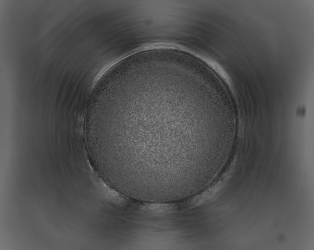 X0000091230953200708231651