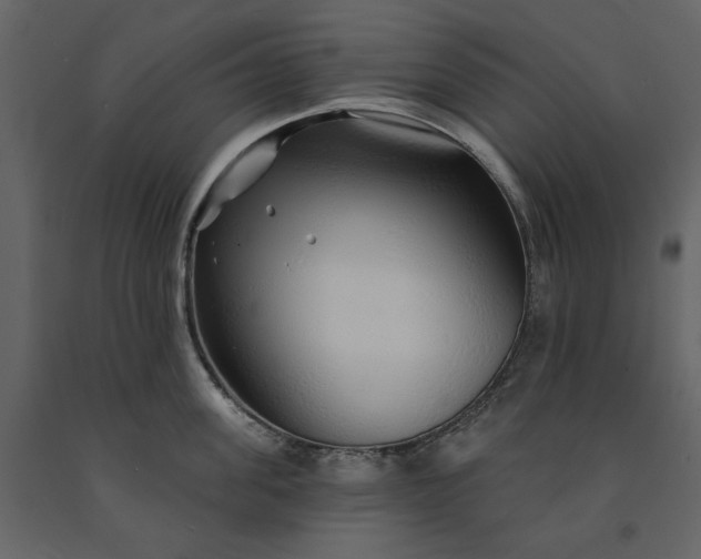X0000091230955200708231651