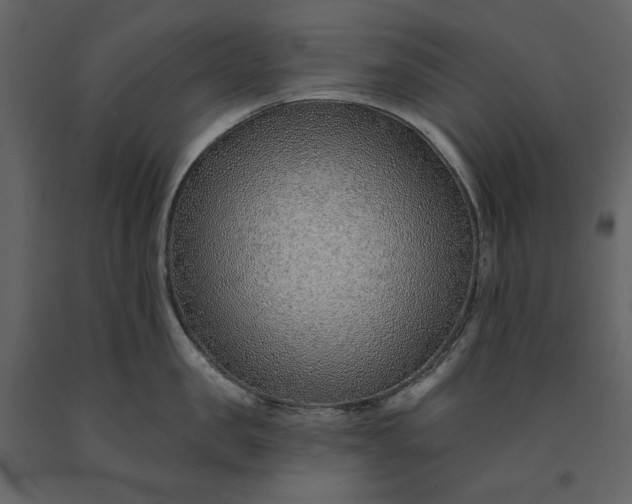 X0000091230957200708231651