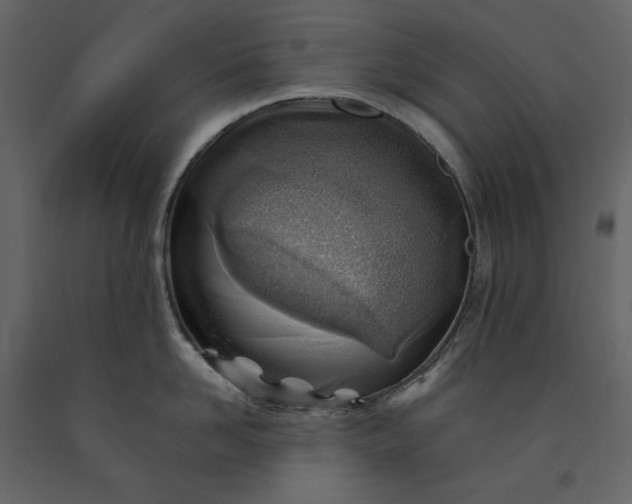 X0000091230958200708231651