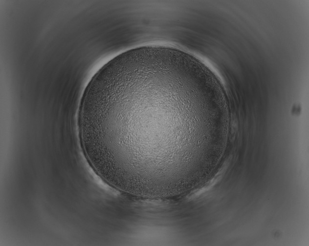 X0000091230959200708231651