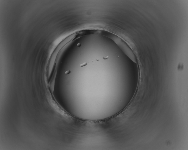 X0000091230960200708231651