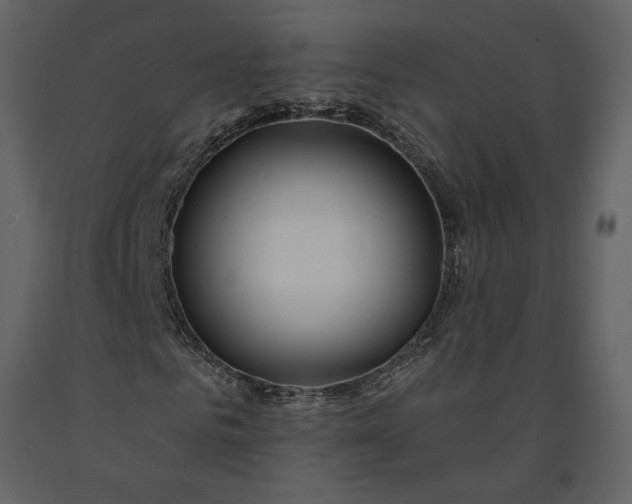 X0000091230961200708231651