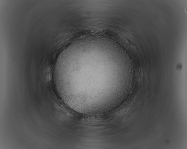 X0000091230962200708231651