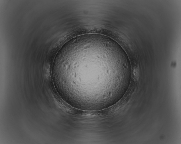 X0000091230963200708231651