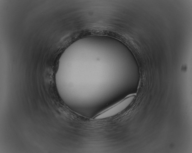 X0000091230964200708231651