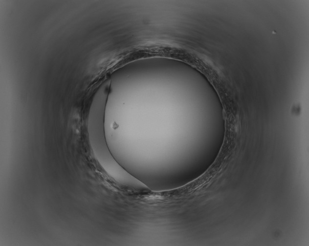 X0000091230965200708231651