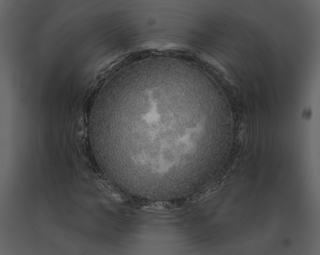 X0000091230966200708231651
