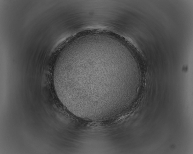 X0000091230967200708231651