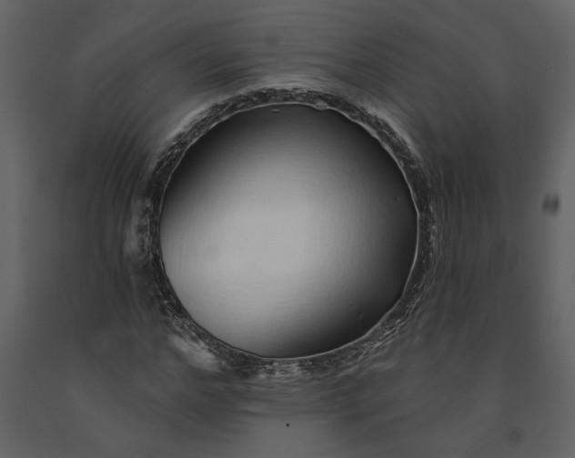 X0000091230968200708231651
